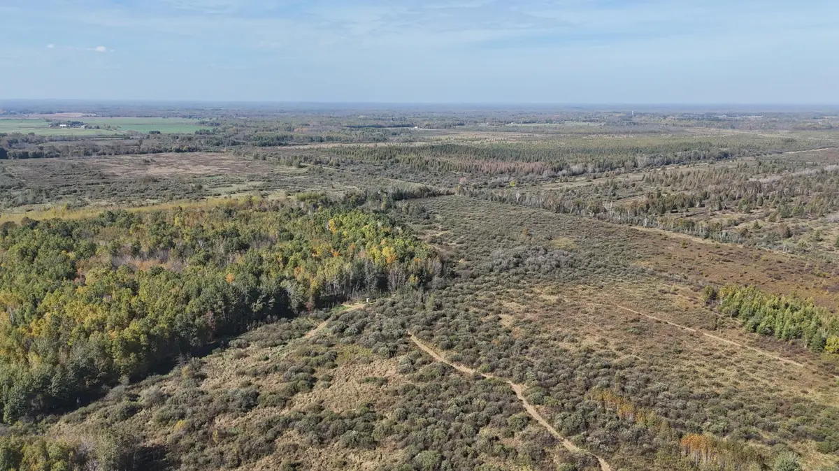 TBD 460th LN, Palisade, MN 56469