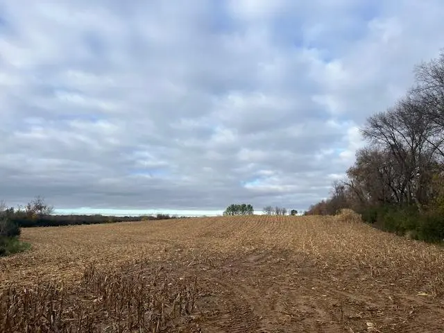 TBD (L1B1) Tucker ST NE, Stanchfield Twp, MN 55080