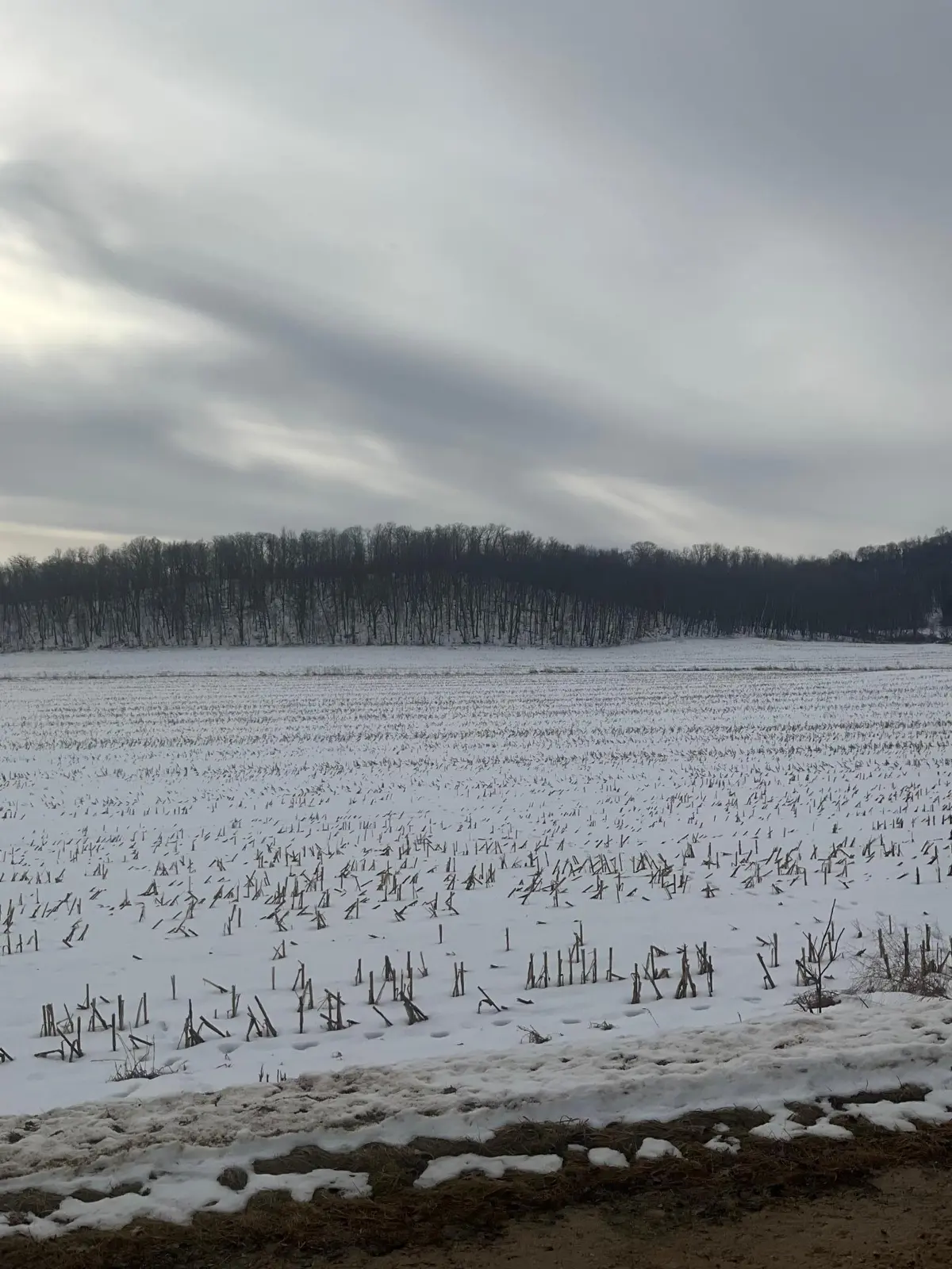 TBD Back Valley Road, Pepin, WI 54759
