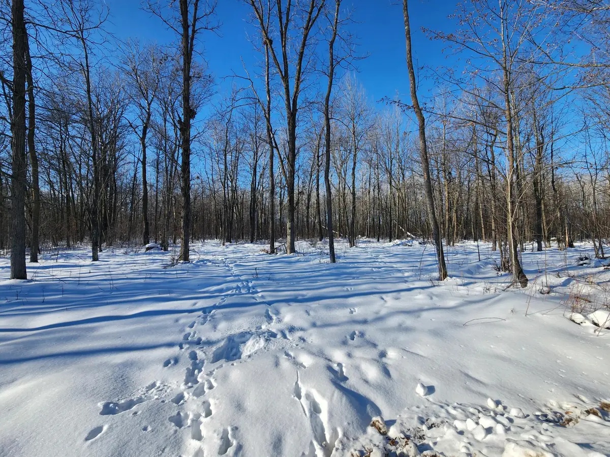xxxx 175th, Ogilvie, MN 56353
