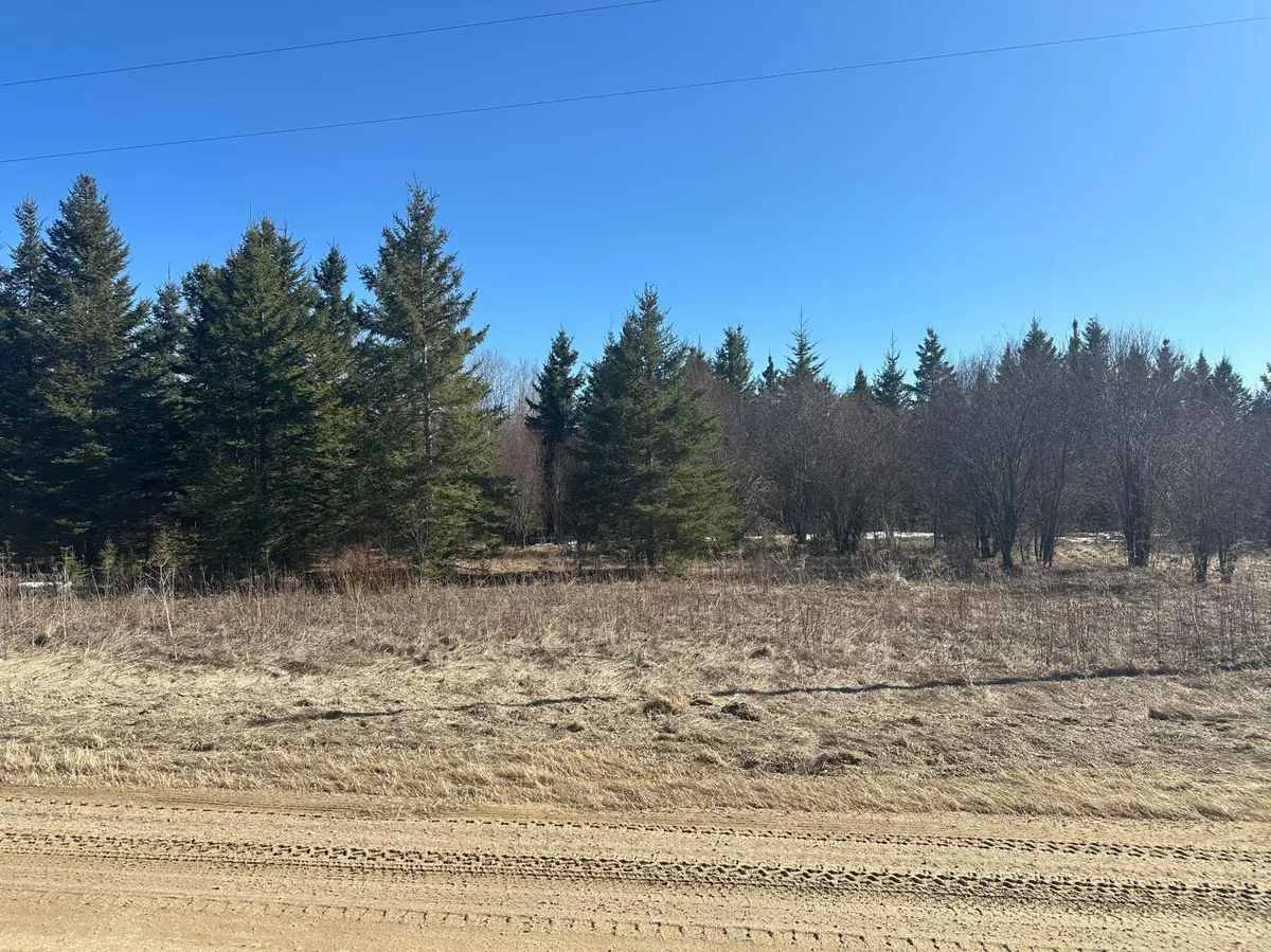 TBD County Road 31, Northome, MN 56661