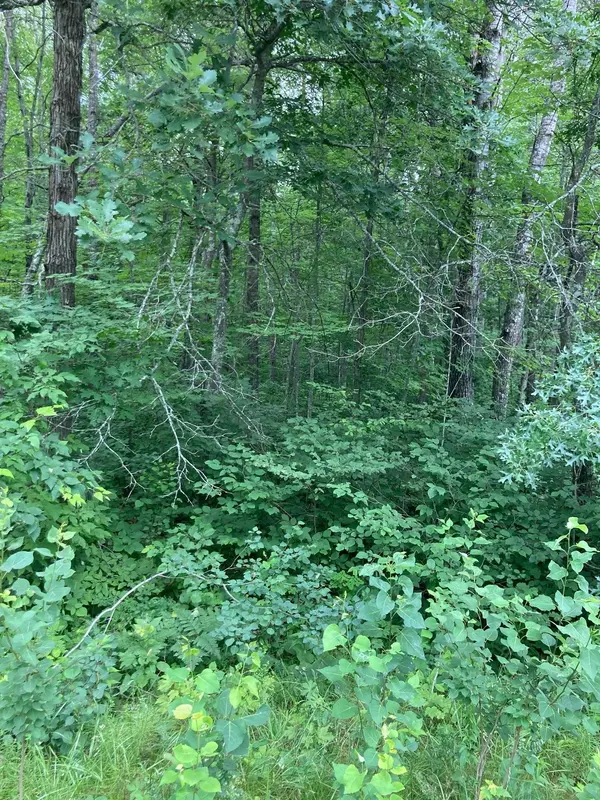 Lot 3 Summer DR, Breezy Point, MN 56472