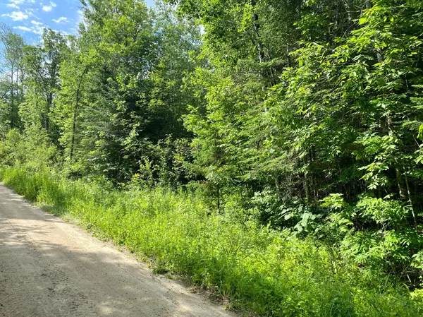 Lot 18 Natures Trail, Federal Dam, MN 56641