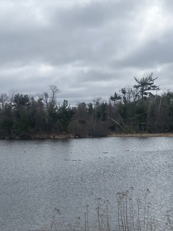 Lot 1 10-7/8 AVE, Cameron, WI 54822