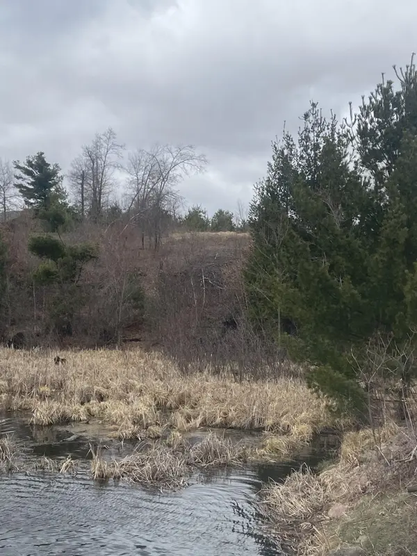 Lot 1 10-7/8 AVE, Cameron, WI 54822
