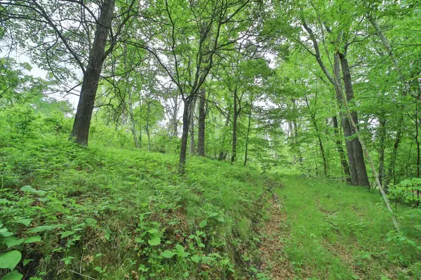 TBD Timber Ridge DR, Baxter, MN 56425
