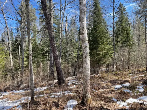 6206 Needleleaf RD, Biwabik, MN 55708