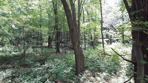 Lot 6 Block 1 Kettle River BLVD NE, Columbus, MN 55025