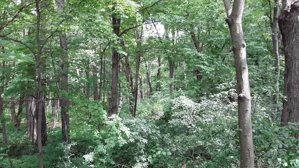 Lot 6 Block 1 Kettle River BLVD NE, Columbus, MN 55025