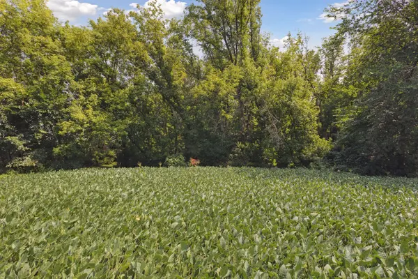 24x4 Holy Name DR, Medina, MN 55340