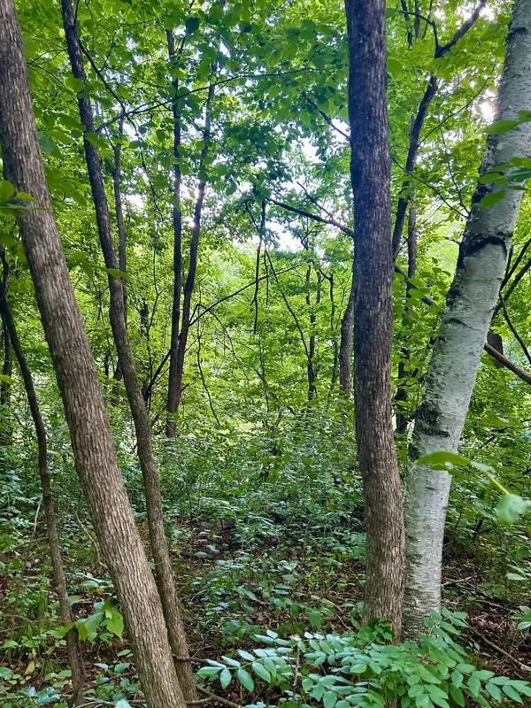 Lot 2 30th AVE, Amery, WI 54001