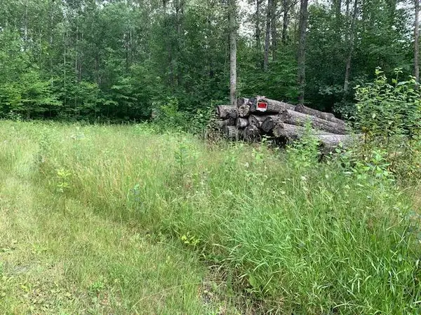 TBD Mushgee RD, Deer River, MN 56636