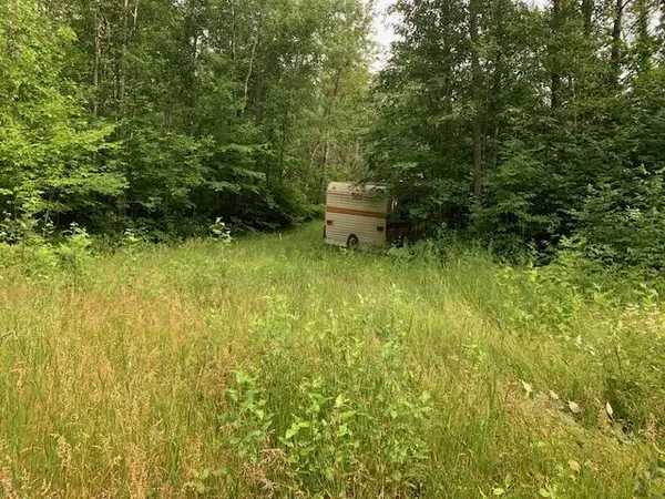 TBD Mushgee RD, Deer River, MN 56636
