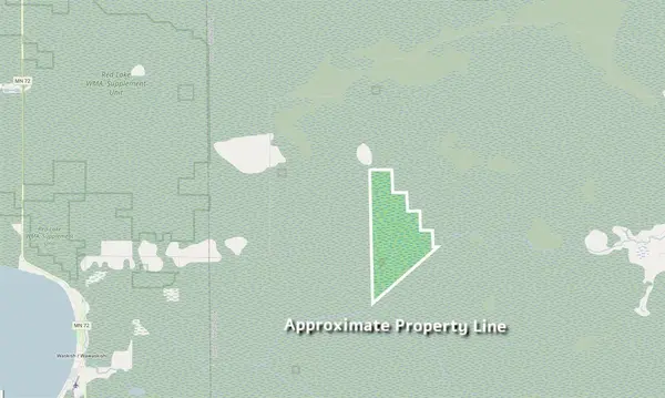 XXX 1262ac Pine Island State Forest, Big Falls, MN 56627