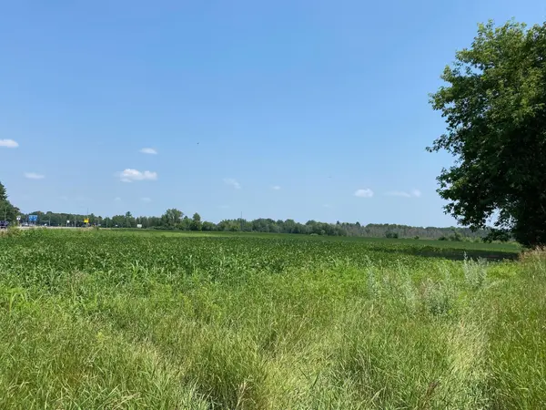 TBD HWY 65 NE, Braham, MN 55006