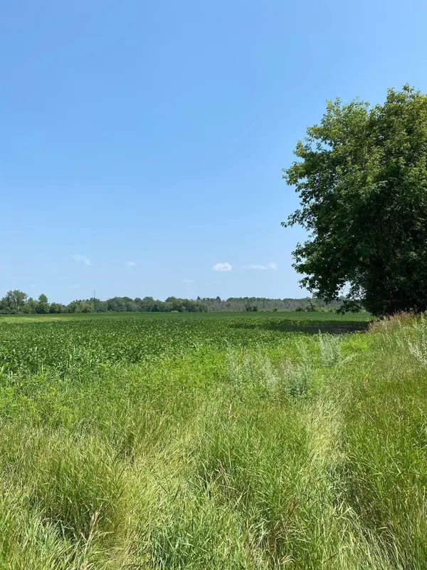 TBD HWY 65 NE, Braham, MN 55006