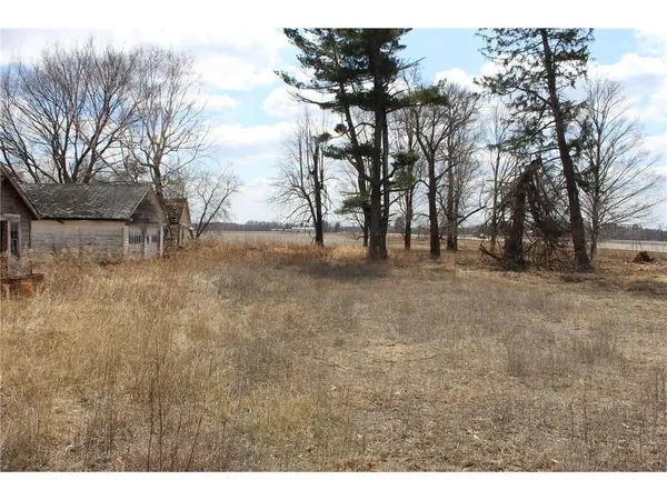 TBD HWY 65 NE, Braham, MN 55006