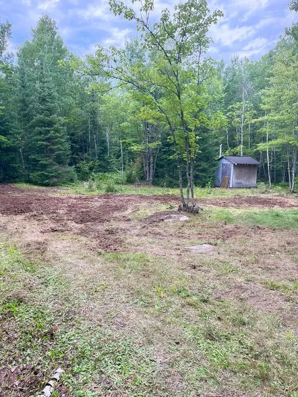 2473 Retreat Lodge RD,  Cook,  MN 55723