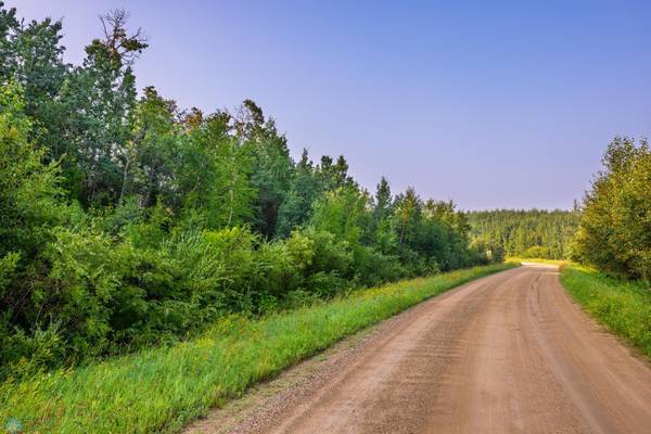 TBD Sjule RD, Bottineau, ND 58318