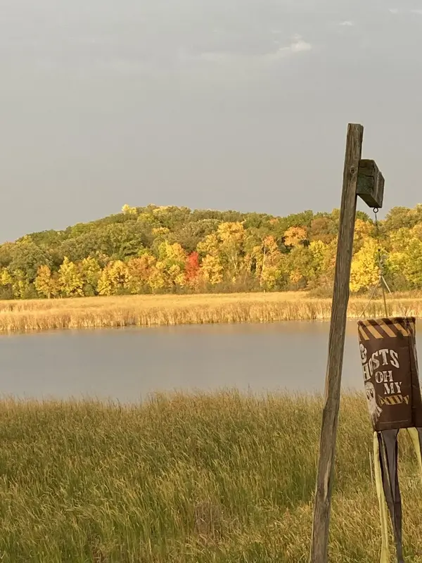34092 Tower RD, Albany, MN 56307