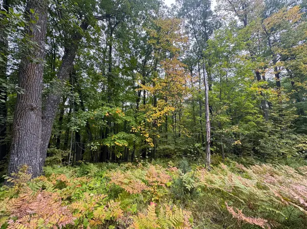34xxx 80ac 298th ST, Aitkin, MN 56431
