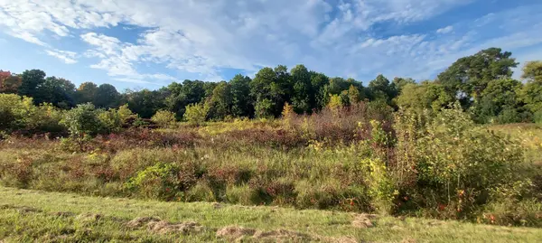 xxx Lot 3 County Line AVE, Black Brook Twp, WI 54007