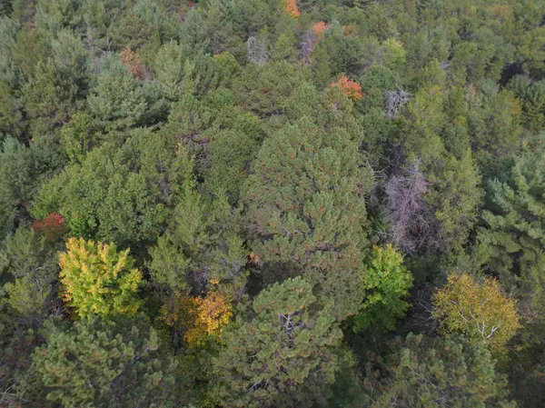 Lot 1 Fandeen RD, Siren, WI 54872