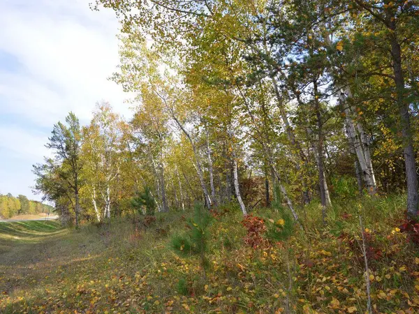 TBD County 14, Park Rapids, MN 56470