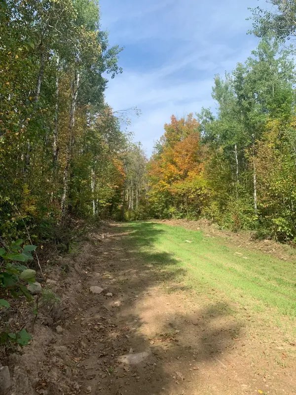 TBD County Road T 6, Dairyland, WI 54830