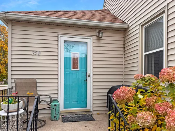 250 Maple ST N, Balaton, MN 56115