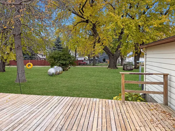 250 Maple ST N, Balaton, MN 56115