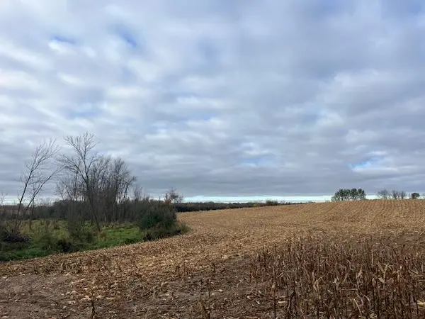 TBD (L1B1) Tucker ST NE, Stanchfield Twp, MN 55080
