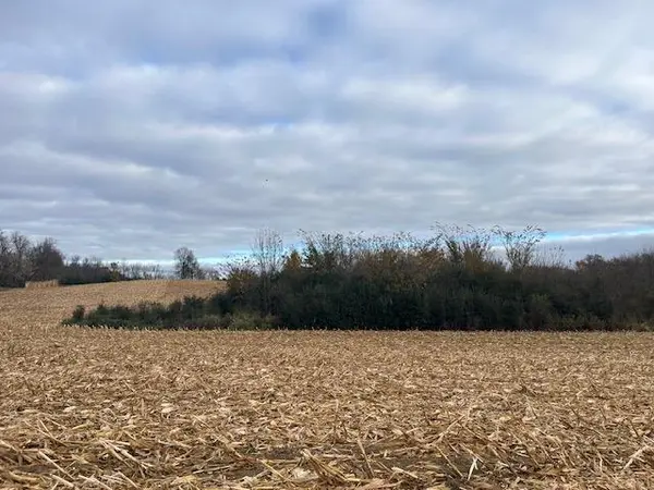 TBD (L2B1) Packard ST NE, Stanchfield Twp, MN 55080