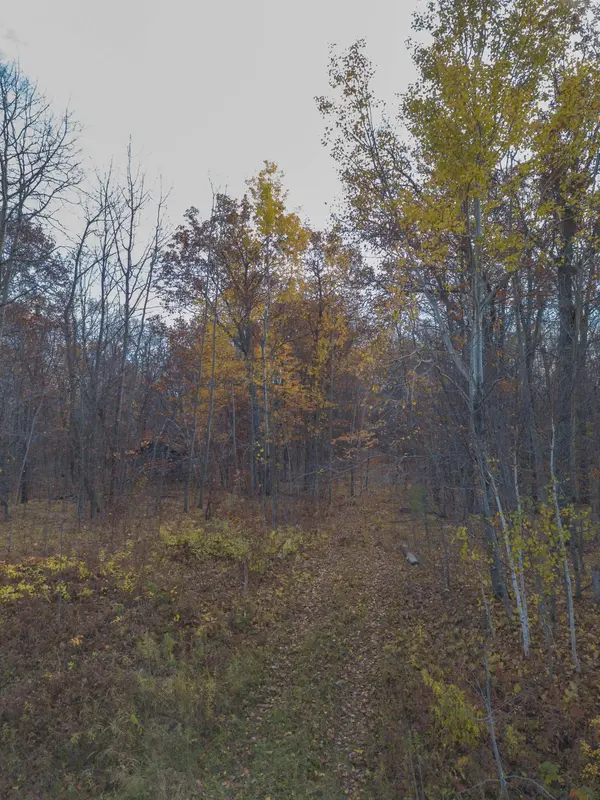 26259 County Road 26, Garrison, MN 56450