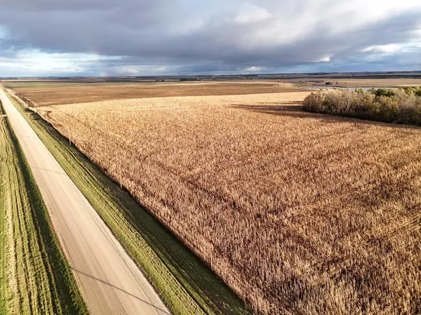 XXXXX County Rd 4, Alberta, MN 56207