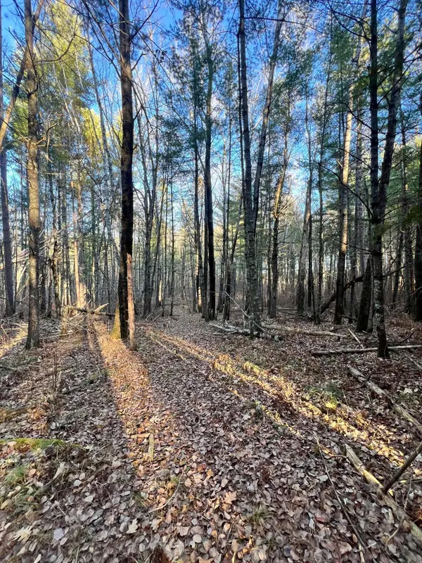 TBD County Rd 427, Grand Rapids, MN 55744