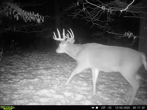 TBD 294th ST,  Red Eye Twp,  MN 56477