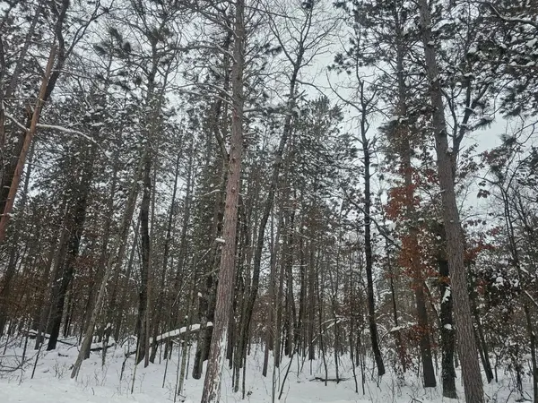 Lot 7 Long Lake RD, Danbury, WI 54830