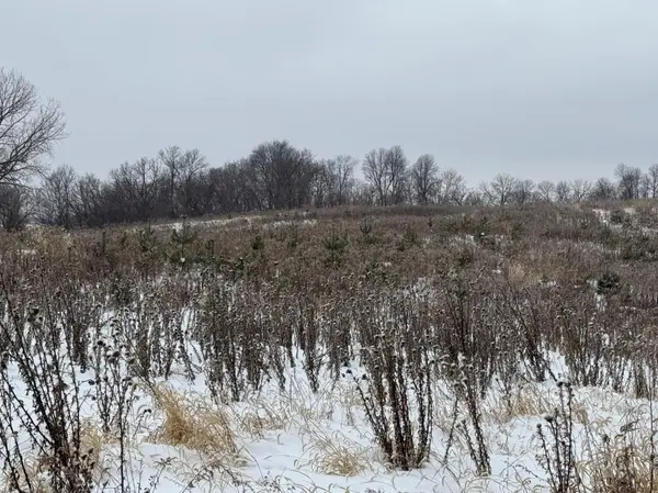 0 Hollow Rd, Alma, WI 54610