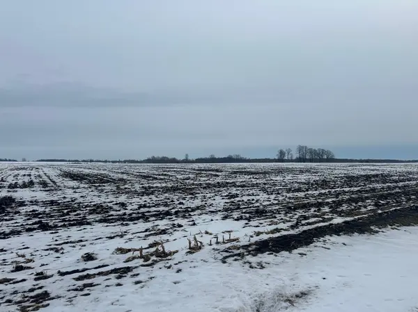 TBD County 36, Long Prairie, MN 56347