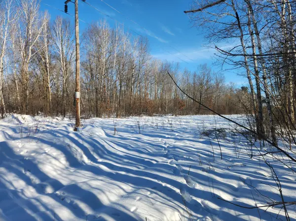 xxxx 175th, Ogilvie, MN 56353
