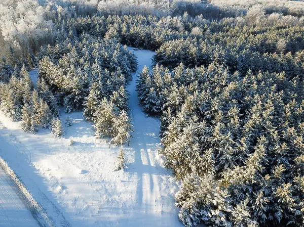 TBD 161st AVE, Clearbrook, MN 56634