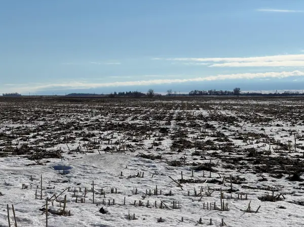 Section 35 Pepperton Township, Alberta, MN 56207