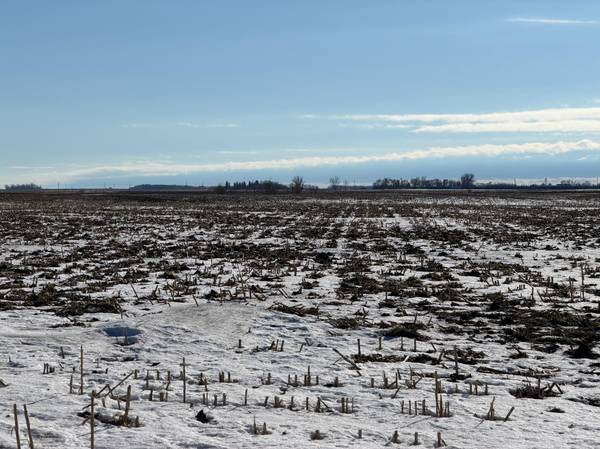 Section 35 Pepperton Township, Alberta, MN 56207