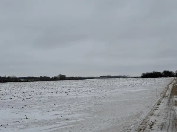 Section 31 Lake George Township, Belgrade, MN 56312