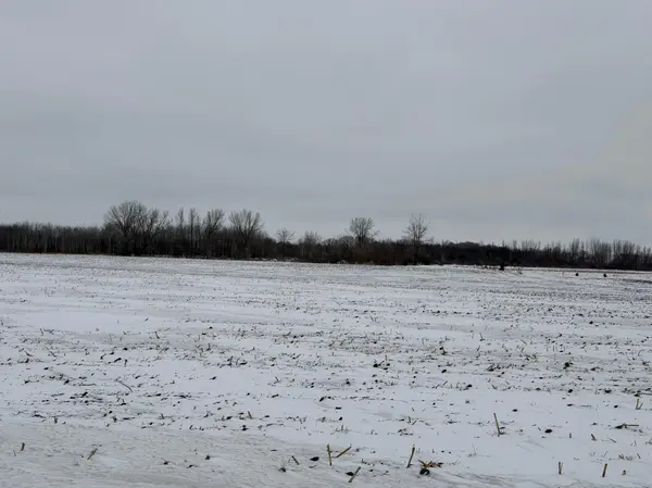 Section 31 Lake George Township, Belgrade, MN 56312