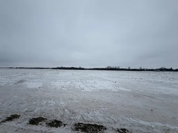 Section 31 Lake George Township, Belgrade, MN 56312