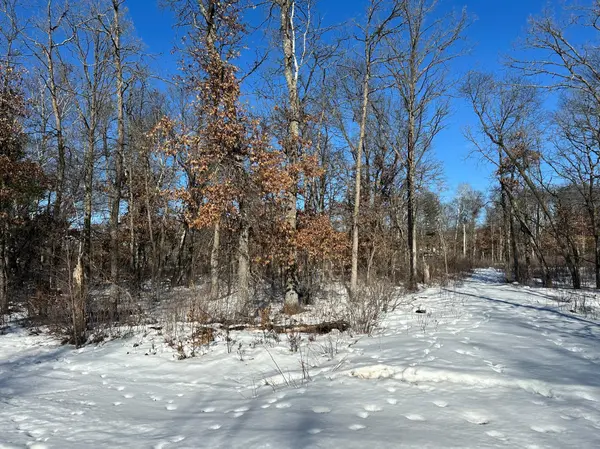 TBD Sioux Drive, Breezy Point, MN 56472