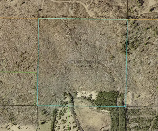 TBD State 371 SW, Backus, MN 56435