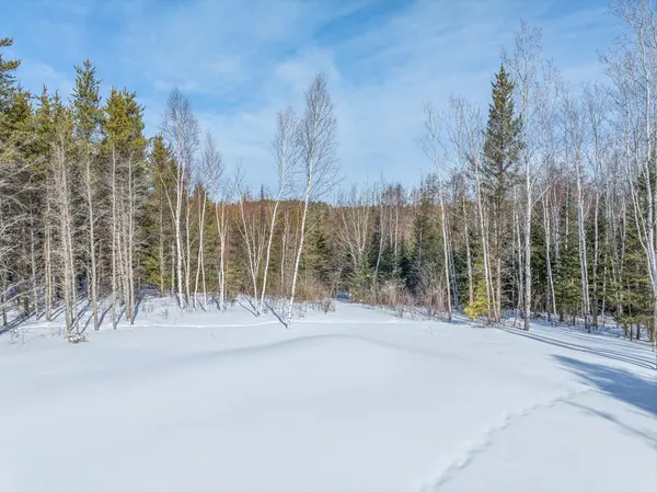 8352 Highway 21 N, Babbitt, MN 55706